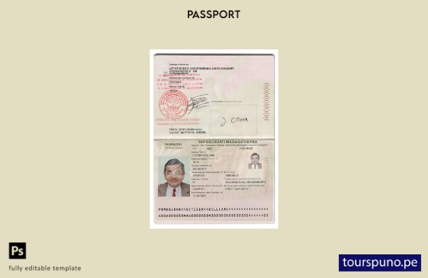 Plantilla de pasaporte de Madagascar lista para imprimir
