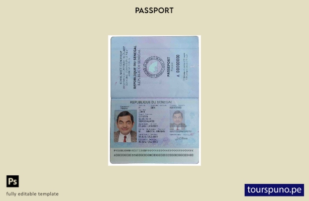 Plantilla de pasaporte de Senegal lista para imprimir