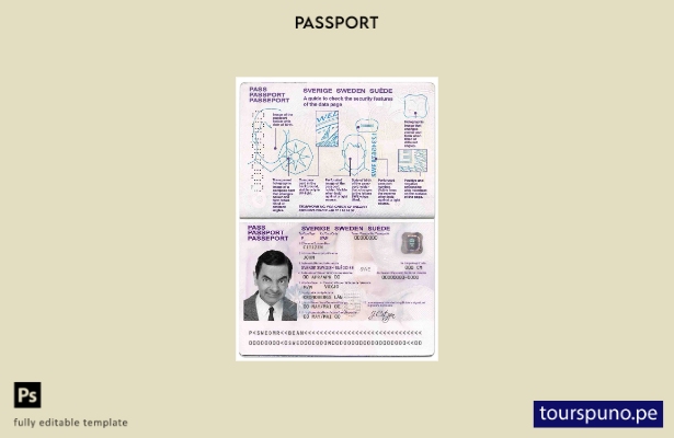 Plantilla de pasaporte de Suecia lista para imprimir