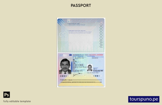 Plantilla de pasaporte holandés ( presente) lista para imprimir