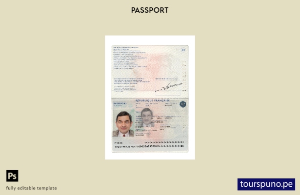 listo para imprimir la plantilla actual del pasaporte de Francia
