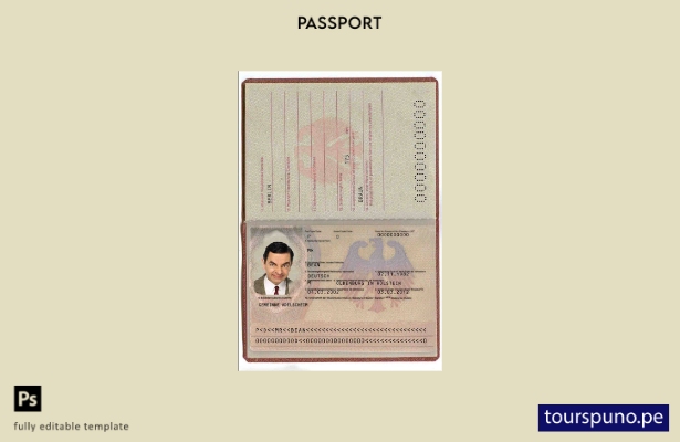 listo para imprimir la plantilla de pasaporte de Alemania ()