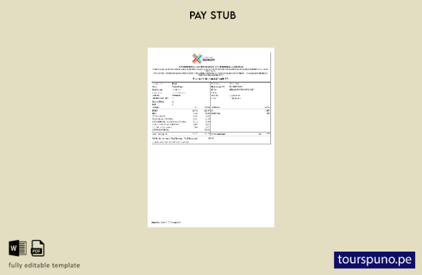 Plantilla de recibo de nómina de Cambridge Technology Enterprises lista para imp