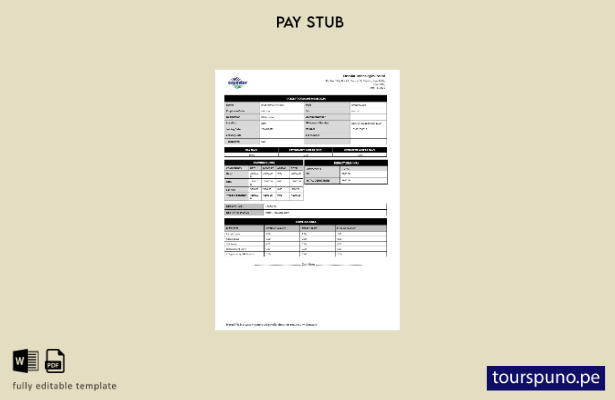 Plantilla de recibo de sueldo de Ensavior Technologies lista para imprimir