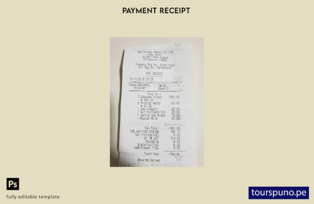 Plantilla de cheque de pago de Marina Bay Sands lista para imprimir