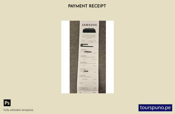 Plantilla de cheque de pago de Samsung Electronics lista para imprimir