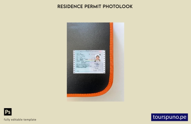 Plantilla de aspecto fotográfico de permiso de residencia francés (carte de séjo