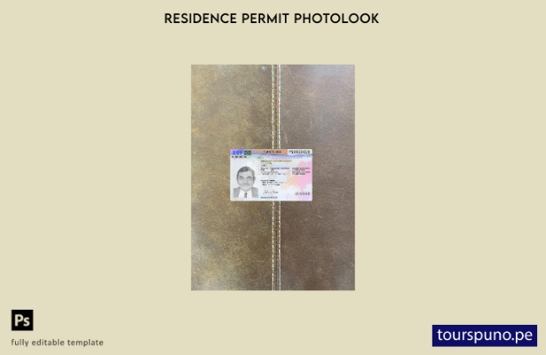 Plantilla frontal de aspecto fotográfico de tarjeta de permiso de residencia de
