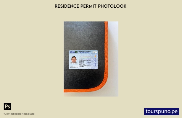 Plantilla frontal de aspecto fotográfico del permiso de residencia en Mongolia l