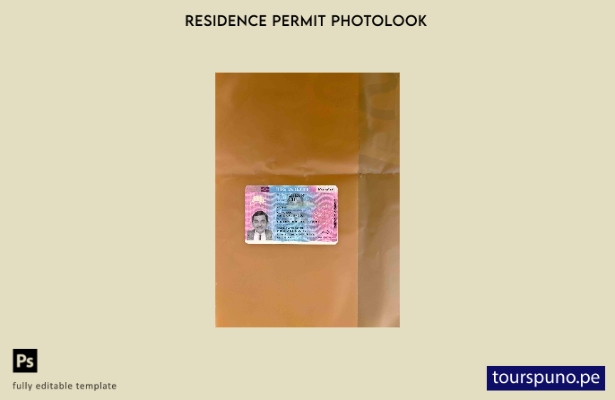 listo para imprimir Plantilla FRONTAL del permiso de residencia en Francia (Titr