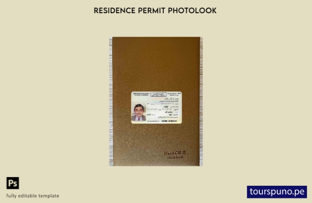 listo para imprimir plantilla FRONTAL de aspecto fotográfico del permiso de re 7
