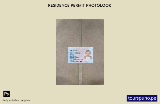 listo para imprimir plantilla FRONTAL de foto de tarjeta de identificación de re