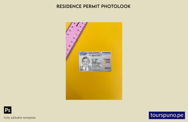 listo para imprimir plantilla FRONTAL de foto de tarjeta de permiso de residen 1