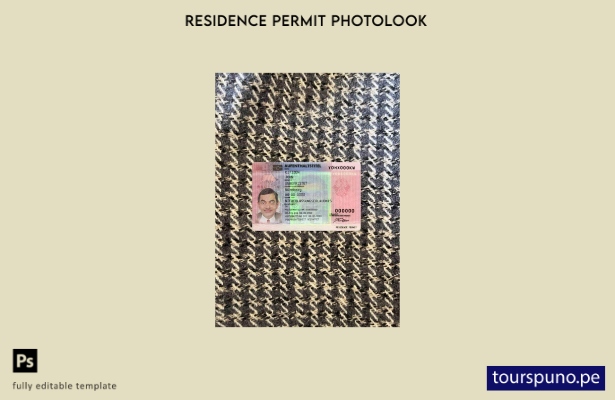 listo para imprimir plantilla FRONTAL de foto de tarjeta de permiso de residenci
