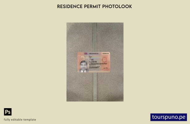 listo para imprimir plantilla FRONTAL de foto de tarjeta de residencia permane 1