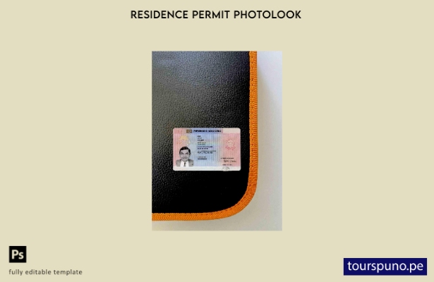 listo para imprimir tarjeta de permiso de residencia en Italia (soggiorno) fotol