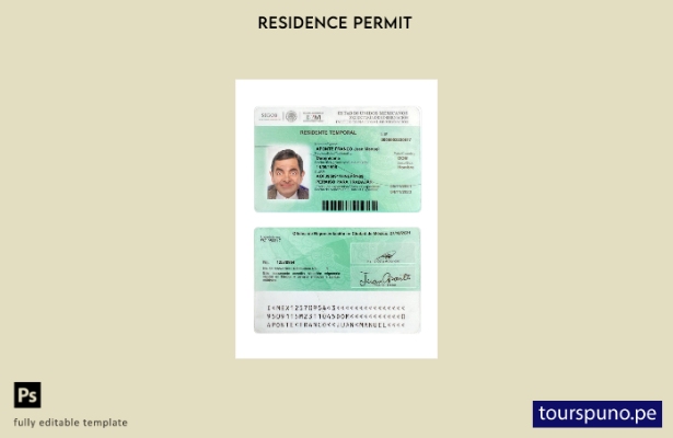 listo para imprimir plantilla actual de permiso de residencia en México