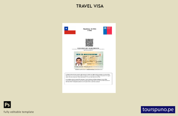 Plantilla de visa electrónica para Chile lista para imprimir en formatos Word y