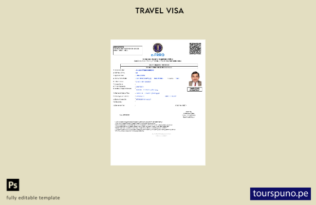 Plantilla de visa electrónica para India lista para imprimir en formatos Word  1