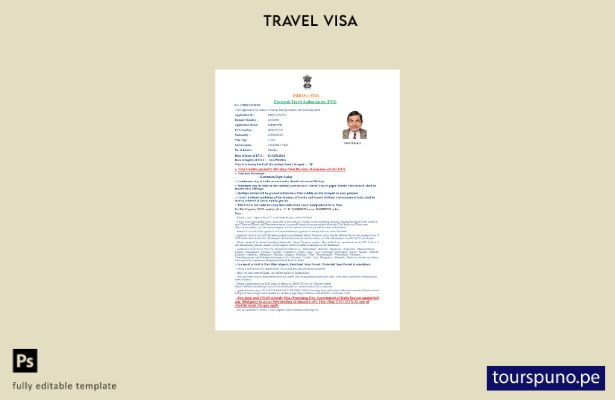 Plantilla de visa electrónica para India lista para imprimir en formatos Word  2