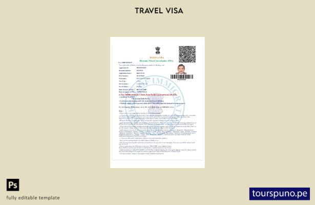 Plantilla de visa electrónica para India lista para imprimir