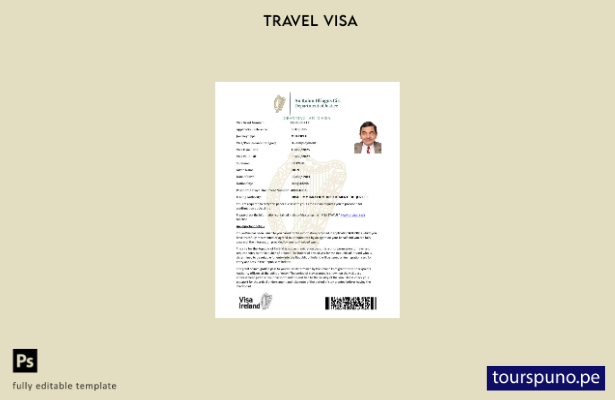 Plantilla de visa electrónica para Irlanda lista para imprimir en formatos Word