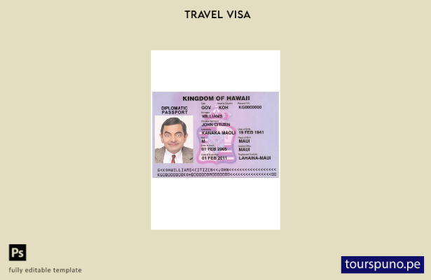 Plantilla de visa hawaiana lista para imprimir