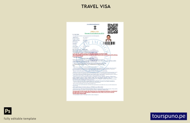 listo para imprimir la visa electrónica de India en plantilla de Word y PDF