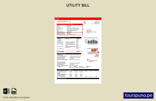 Lista para imprimir plantilla de factura de electricidad E.ON de España