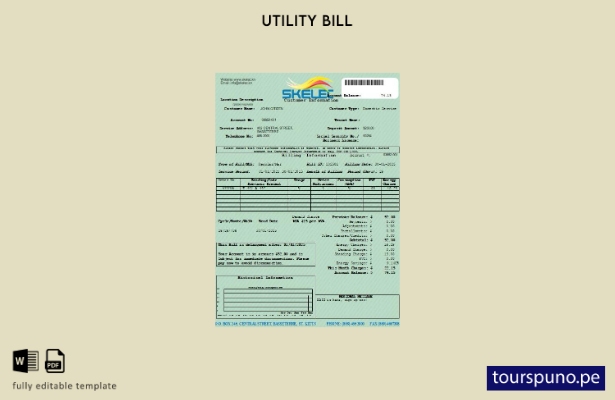 Plantilla de factura de servicios públicos lista para imprimir de St. Kitts Elec