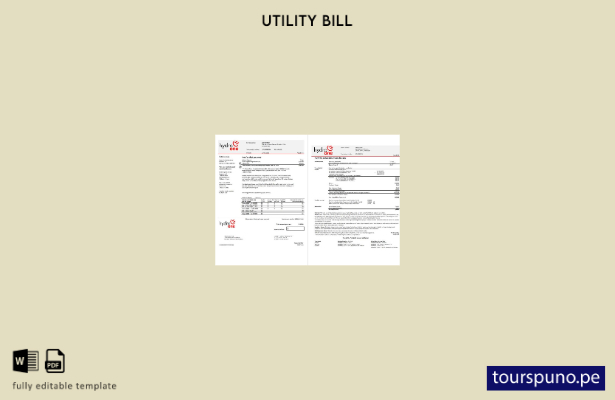lista para imprimir la plantilla de factura de servicios públicos de electric 16