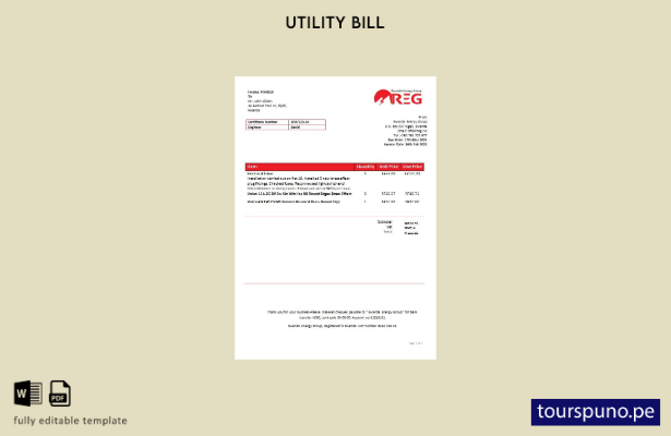 lista para imprimir la plantilla de factura de servicios públicos de electrici 7