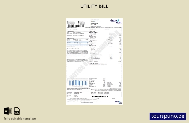lista para imprimir plantilla de factura de servicios públicos Davao Light de EE