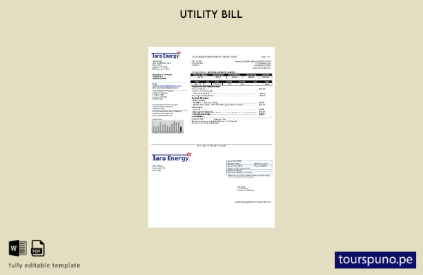 lista para imprimir plantilla de factura de servicios públicos Tara Energy de EE