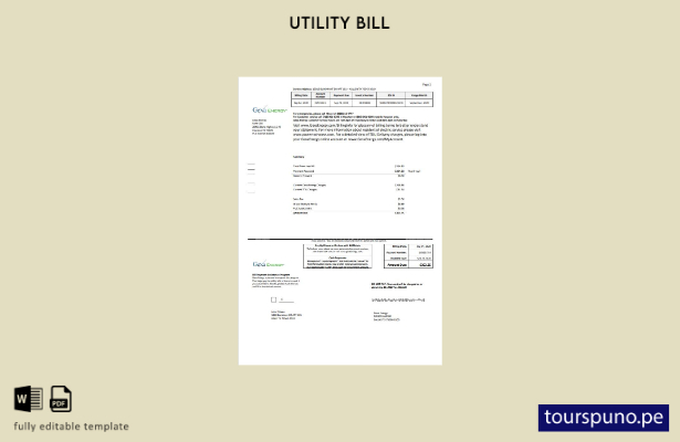 lista para imprimir plantilla de factura de servicios públicos de EE. UU. Texa 2