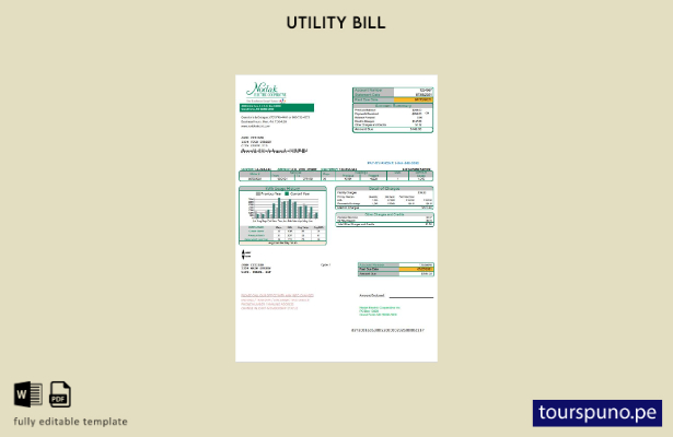 lista para imprimir plantilla de factura de servicios públicos de Nodak Electric