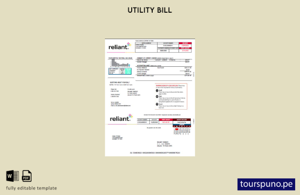 lista para imprimir plantilla de factura de servicios públicos de Reliant Energy