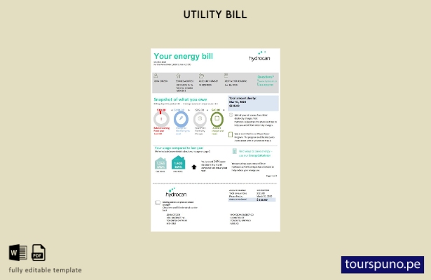 lista para imprimir plantilla de factura de servicios públicos de electricidad H