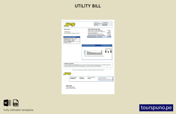 lista para imprimir plantilla de factura de servicios públicos de electricidad 1