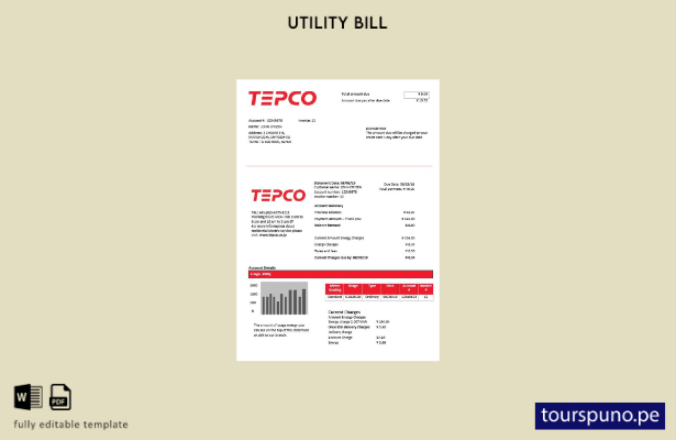 lista para imprimir plantilla de factura de servicios públicos de electricidad 4