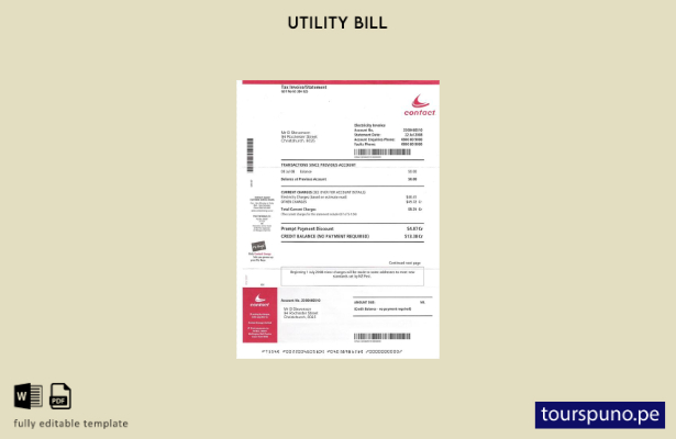lista para imprimir plantilla de factura de servicios públicos de electricidad 6