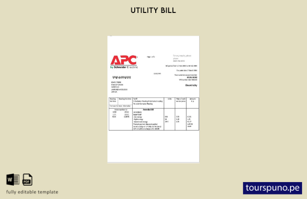 lista para imprimir plantilla de factura de servicios públicos de electricidad 7