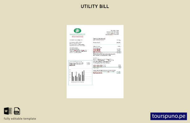 listo para imprimir Plantilla de factura de electricidad de Omán Omán Electricit