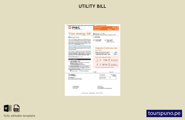 listo para imprimir factura de servicios públicos PSEG de Nueva York de EE. UU.,