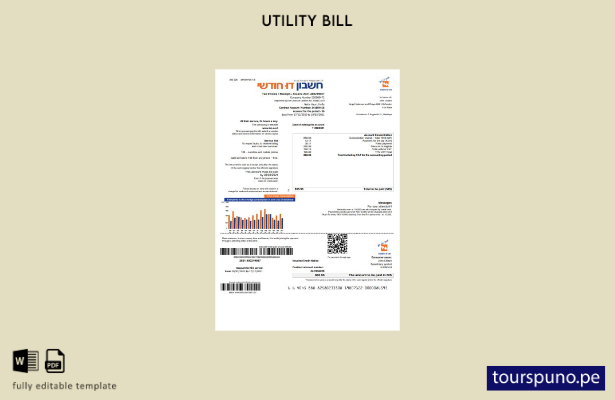 listo para imprimir la factura de servicios públicos de Israel Electric Corporat