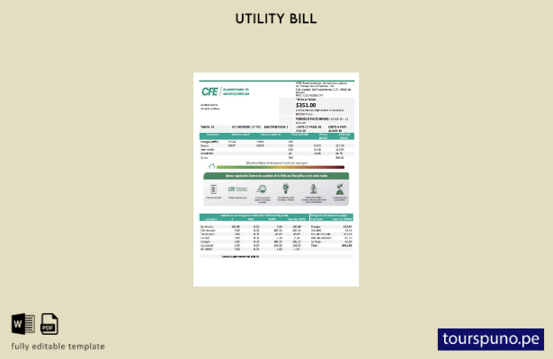 listo para imprimir plantilla de factura de servicios públicos de CFE de Electri