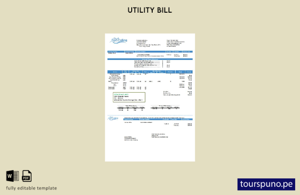 listo para imprimir plantilla de factura de servicios públicos de EE. UU. Colora