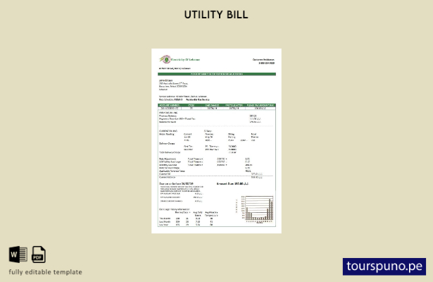 listo para imprimir plantilla de factura de servicios públicos de Electricidad 3